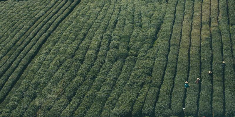 Wilbon PP vs 普通聚丙烯：为您的工业包装与塑料容器选择最佳材料