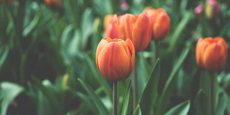 Wilbon PP阻燃等级提升技术路线解析:如何打造更安全的塑料包装容器?